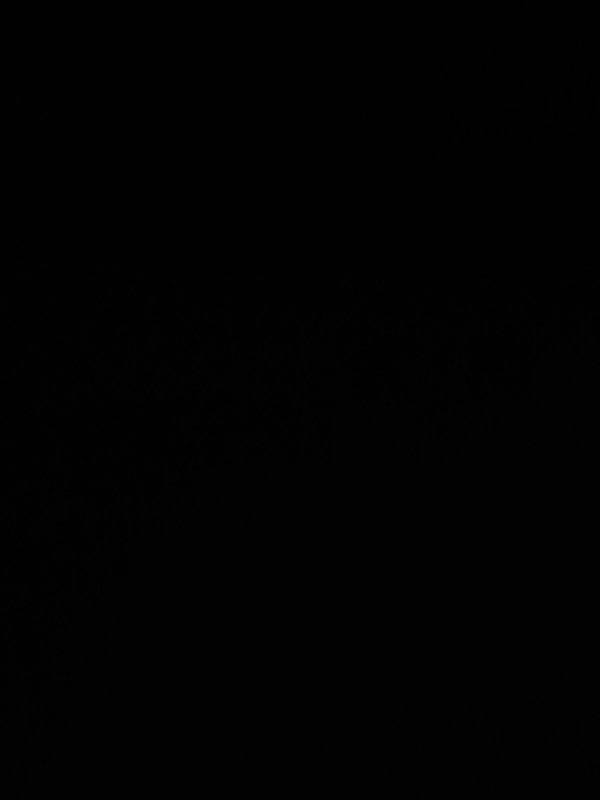 Imran Bhai, abdul khan and sana